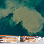 Passengers on a cruise ship looking at out at pollution in the water.