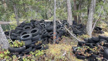 Before photo from the recent cleanup of "Tire Island."