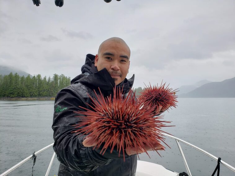 Douglas Neasloss holding two sea urchins.