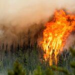 Flames from the Donnie Creek wildfire burning along a ridgetop near Fort St John, B.C. Source:
