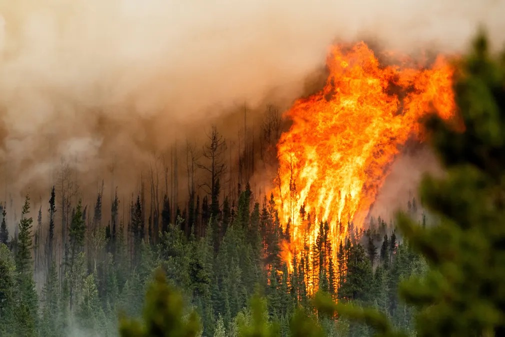 Flames from the Donnie Creek wildfire burning along a ridgetop near Fort St John, B.C. Source: