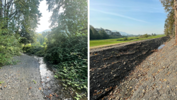 Chilliwack residents are deeply concerned as a vital ecosystem in their area faces destruction, raising alarm bells about the well-being of local fish populations.