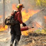 A BC Wildfire crew conducting a small-scale hand ignition on the south flank of the fire burning northwest of the Shannon Lake Golf Course.