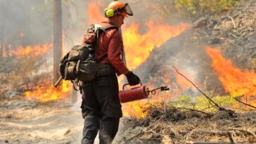 A BC Wildfire crew conducting a small-scale hand ignition on the south flank of the fire burning northwest of the Shannon Lake Golf Course.