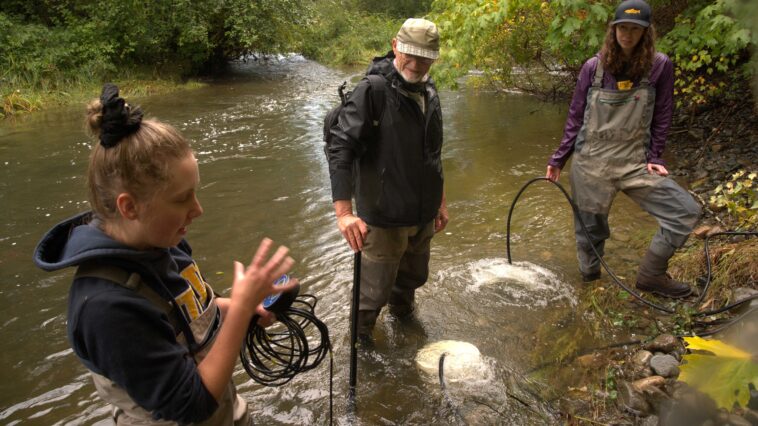 Katie Gair, Allan Chamberlain, and Jane Pendray at the Tsolum River