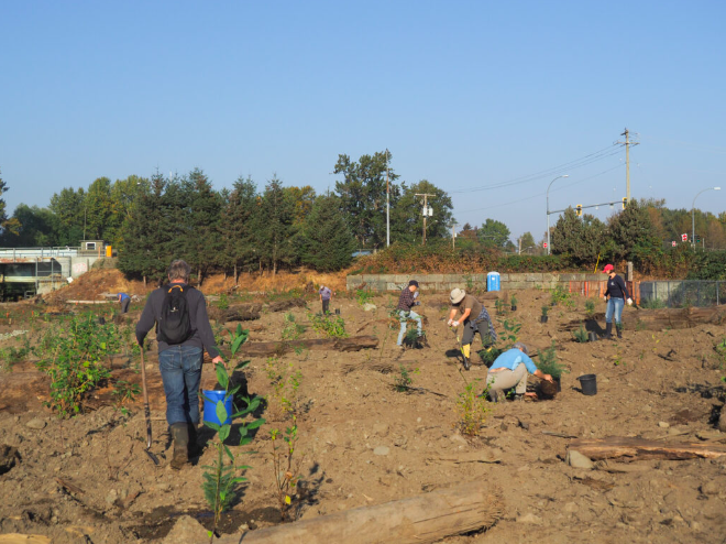 Volunteers planting vegetation for the estuary's marshlands.