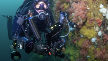 Tiare Boys diving underwater.
