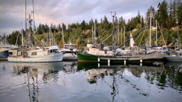 fishing boats in a bay in BC