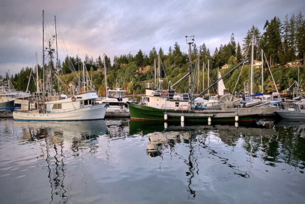 fishing boats in a bay in BC