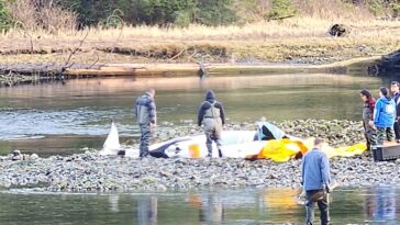 A beached orca at a lagoon.