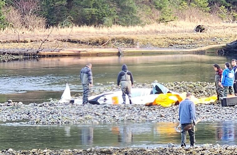 A beached orca at a lagoon.