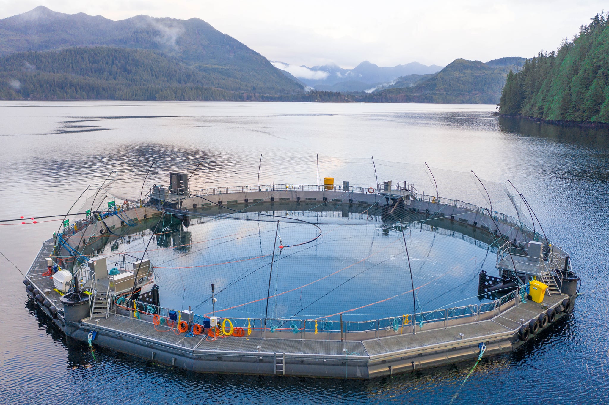 An open-net fish farm.