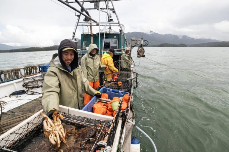 Fishermen crabbing