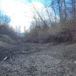 A dry channel close to Backwash Slough in Chilliwack.
