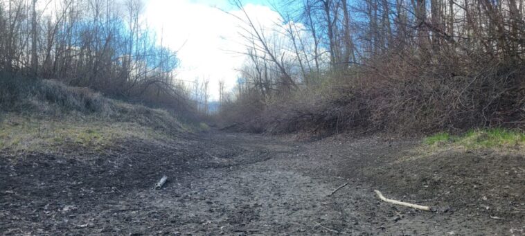 A dry channel close to Backwash Slough in Chilliwack.