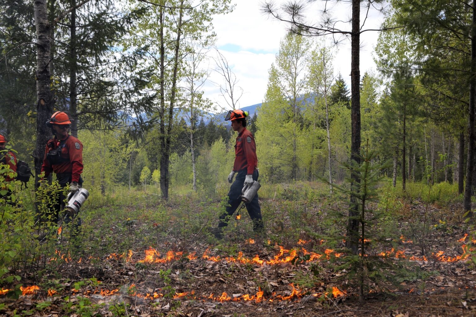 First Nations volunteers carrying out controlled burning.