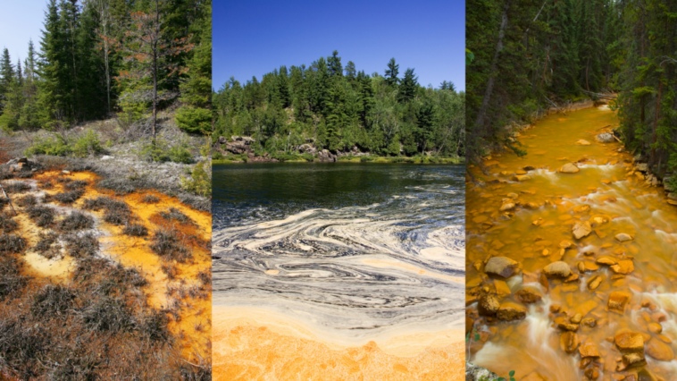Tailings from gold and silver mines, containing mercury and cyanide.