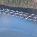 Cermaq fish farm