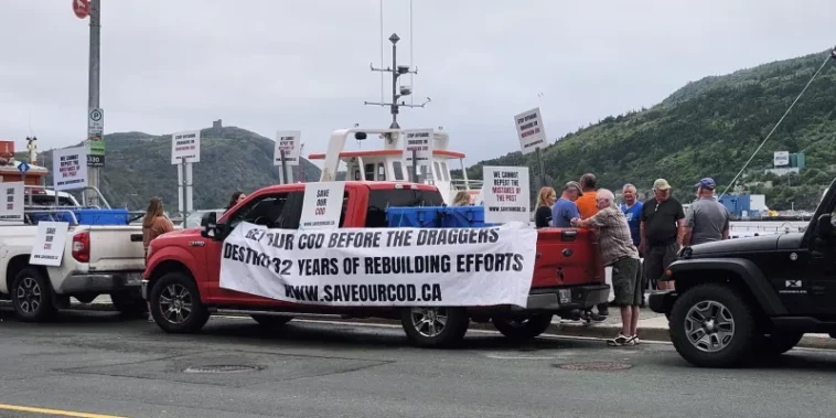 FFAW-Unifor organized cod giveaways in St. John’s.